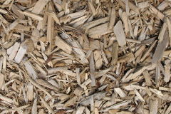biomass boilers Ryther